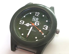 ICE WATCH